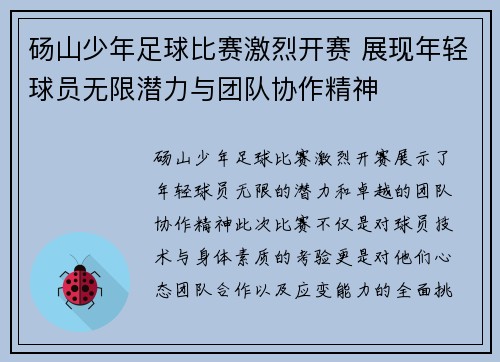 砀山少年足球比赛激烈开赛 展现年轻球员无限潜力与团队协作精神