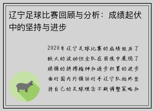 辽宁足球比赛回顾与分析：成绩起伏中的坚持与进步