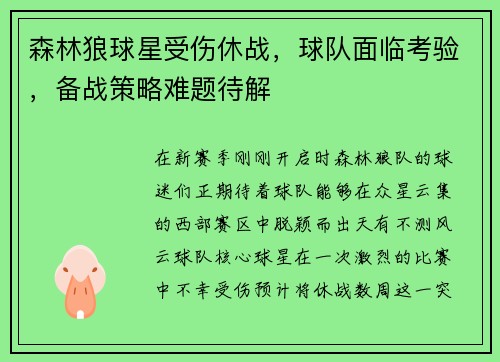 森林狼球星受伤休战，球队面临考验，备战策略难题待解